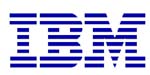 IBM chips plans