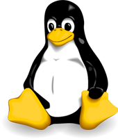 Linux in Enterprises